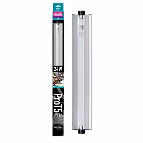 Arcadia D3 12% UVB T5 Fluorescent Tube