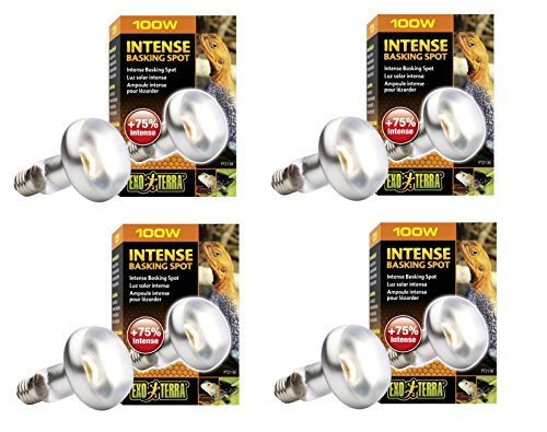 Exo Terra Infrared Basking Bulb