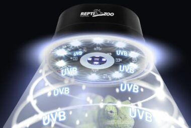 UVB-lighting-showing-the-rays-of-UVB-Light