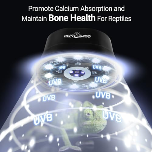 UVB-lighting-showing-the-rays-of-UVB-Light