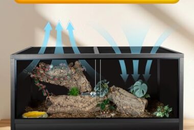 example for a wooden bearded dragon cage showing off the good breathability