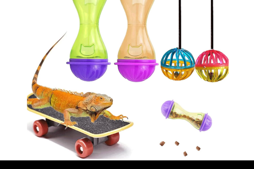 bearded-dragon-toys