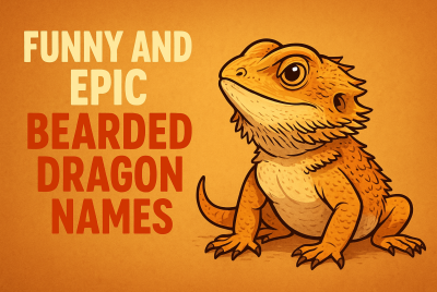 funny and epic bearded dragon names