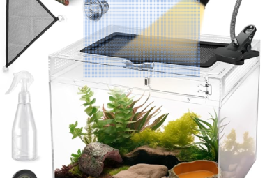 an image of all essentials, you need for a bearde dragon. from tank to hammock