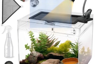 an image of all essentials, you need for a bearde dragon. from tank to hammock