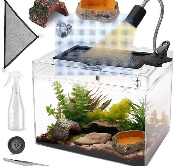 an image of all essentials, you need for a bearde dragon. from tank to hammock