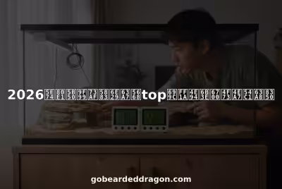 带有智能温控系统的胡须龙饲养箱