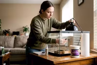 Person prepares bearded dragon quarantine enclosure